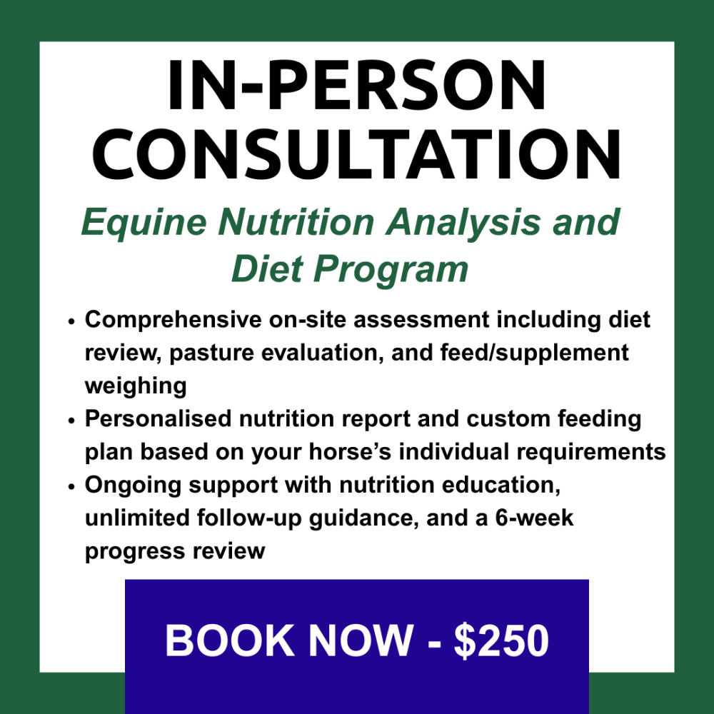 In-Person Nutrition Consultation